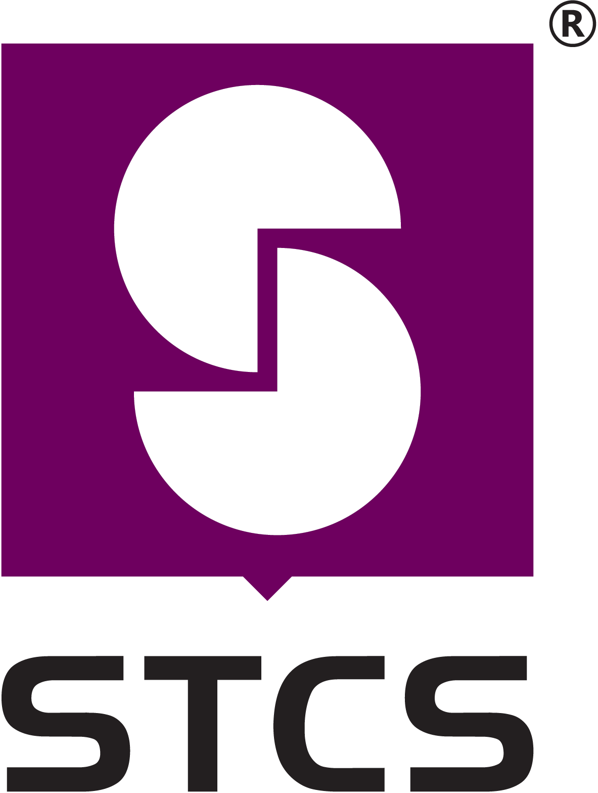 Shree technocrat Communication Systems Ltd